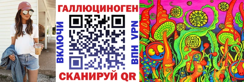 Псилоцибиновые грибы Psilocybine cubensis  как найти   Куса 